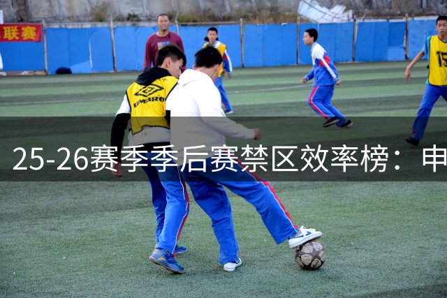 25-26赛季季后赛禁区效率榜：申京与博伊尔斯领衔